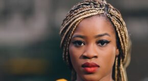 senegalese twist braids
